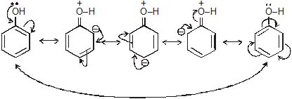 Inductive and Mesomeric Effect - Organic Chemistry Class 11 Notes | EduRev